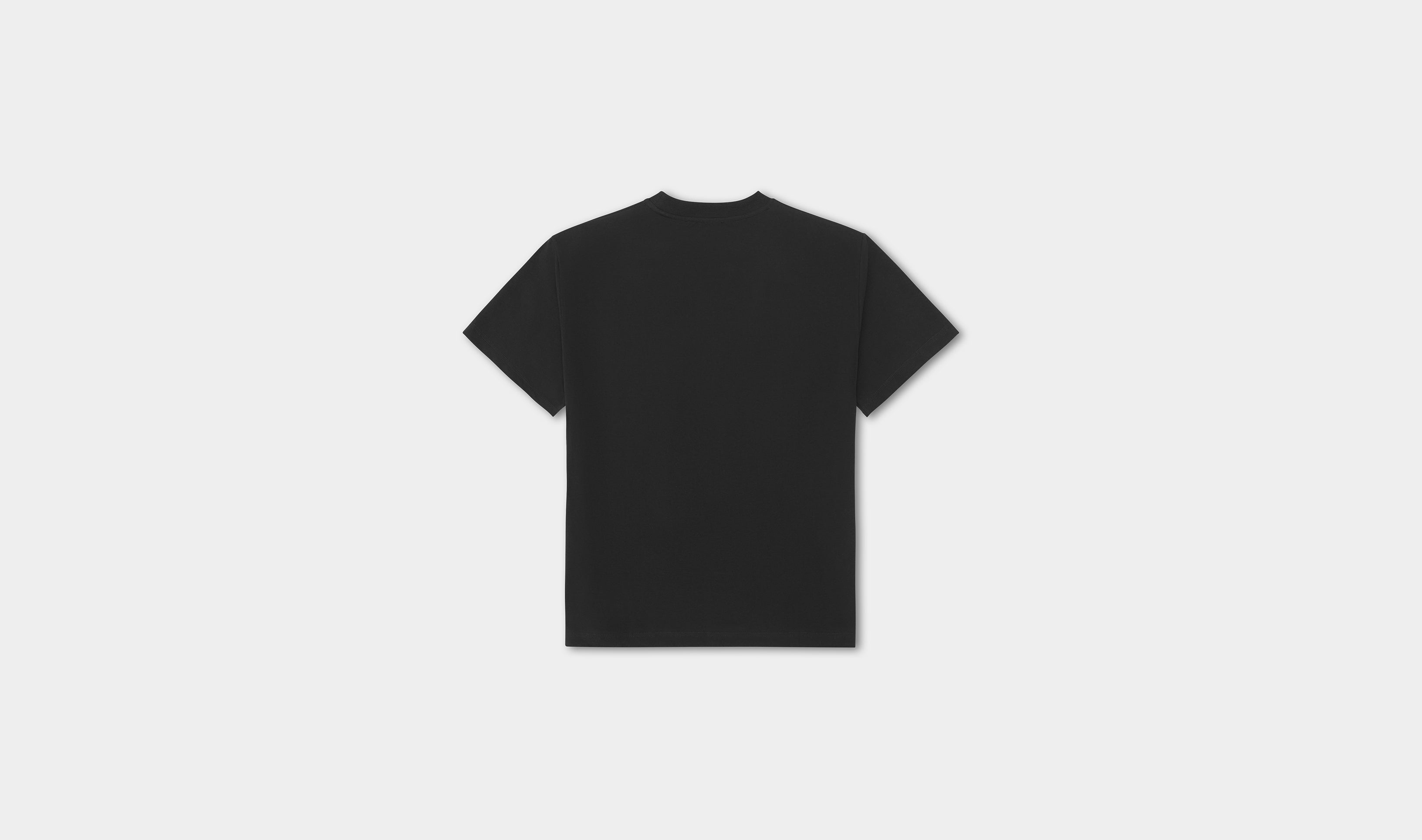 HE, product: GUARDIAN T-SHIRT (Fig. 5)