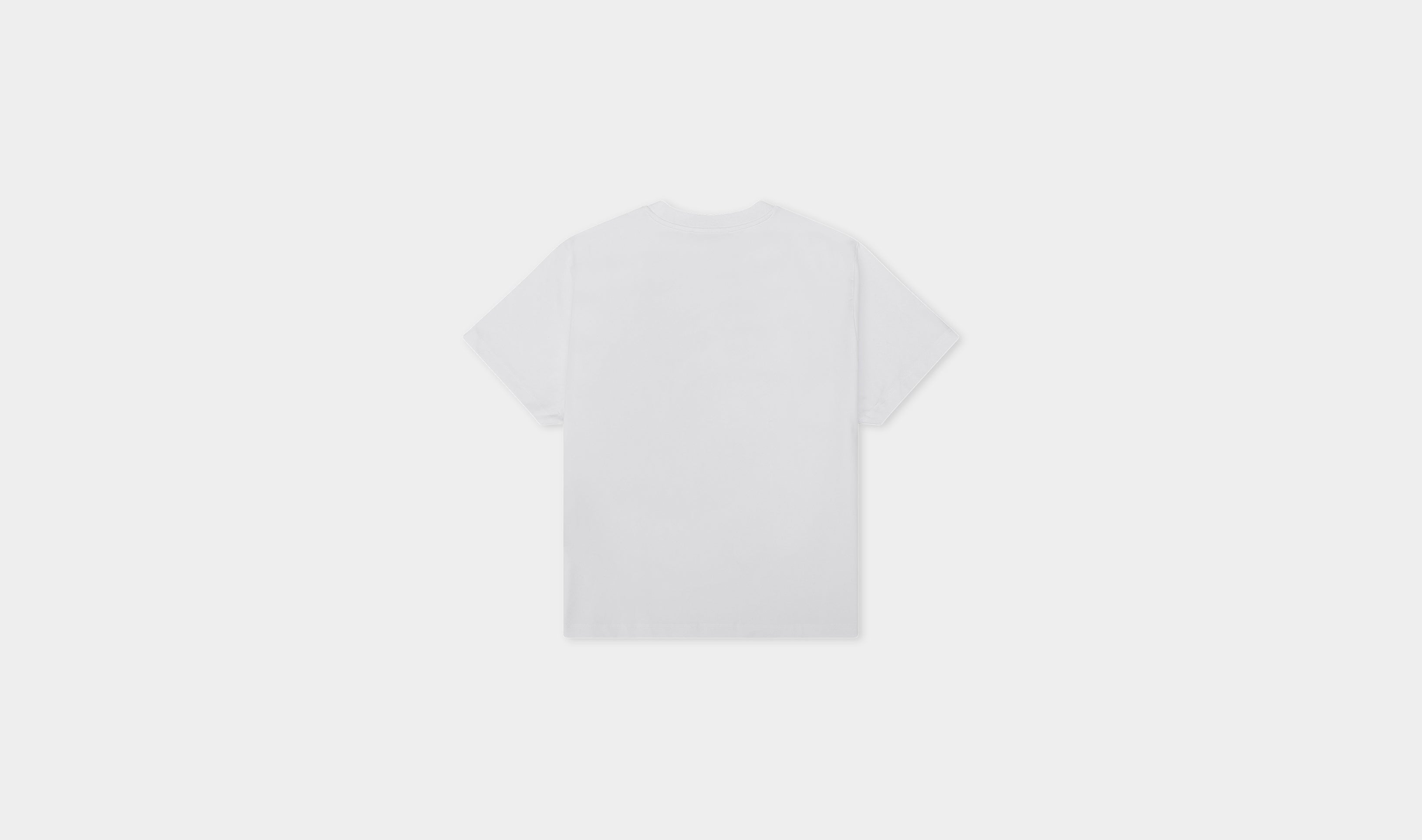 HE, product: SHELTER PRINTED T-SHIRT (Fig. 9)