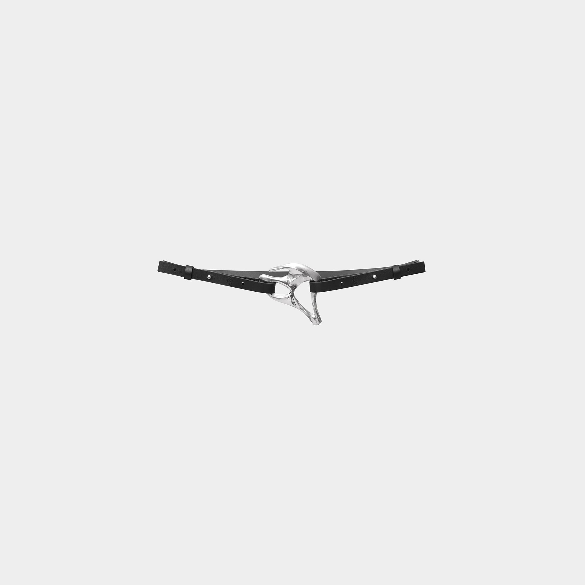 HE, product: ENDEMYC BELT (Fig. 1)