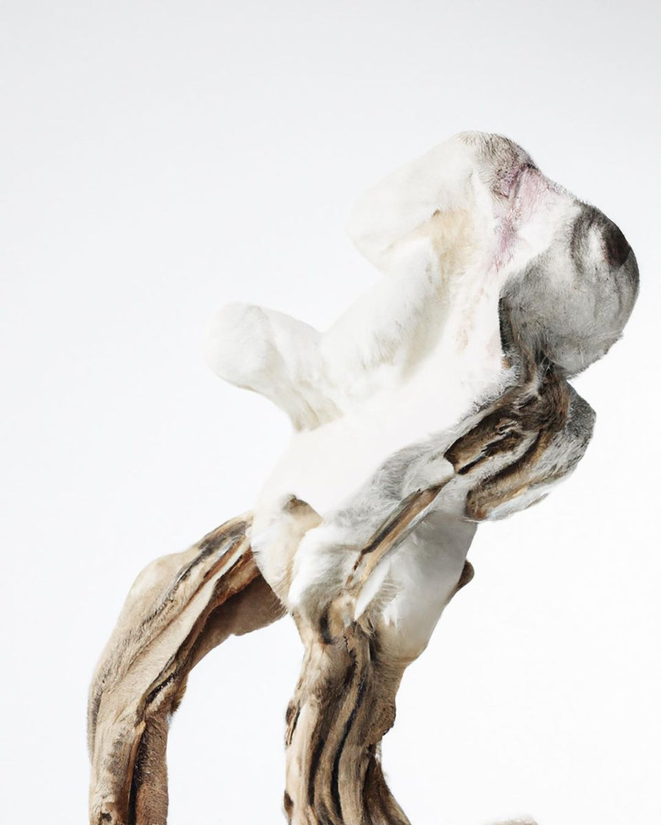 HELIOT EMIL_IMG_HE_UNIFROM_001