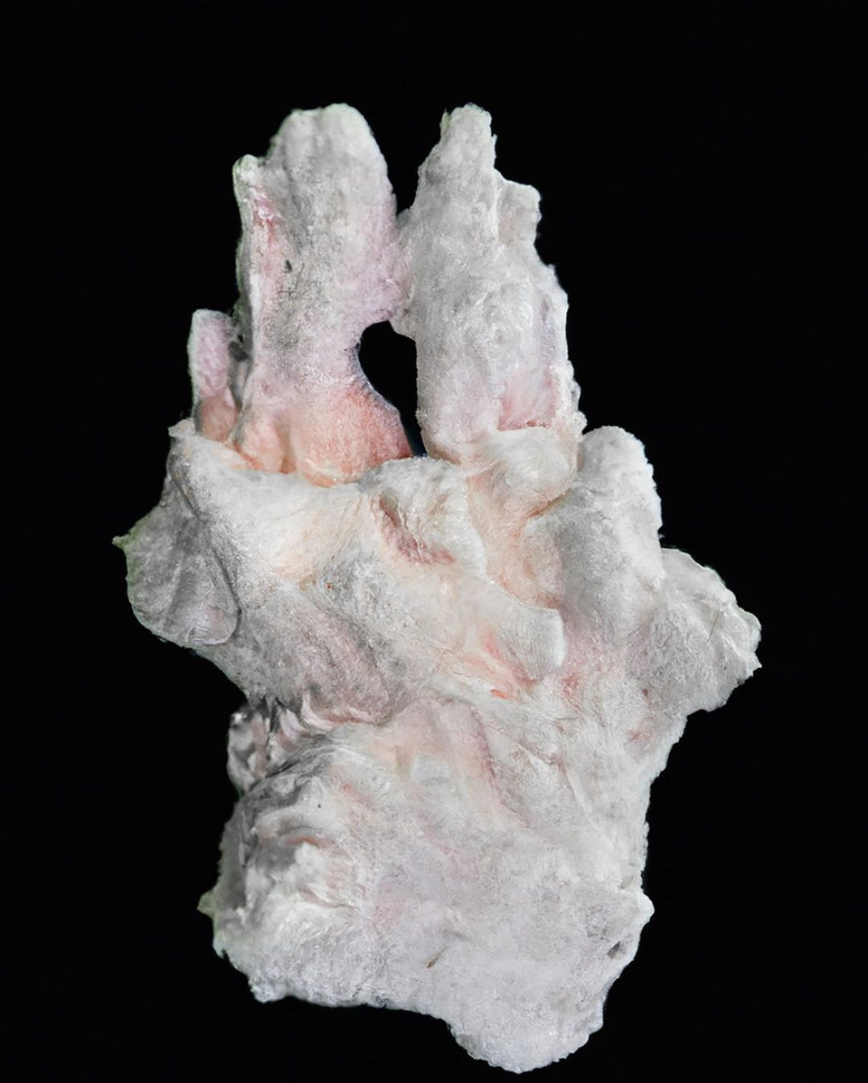 HELIOT EMIL_IMG_HE_UNIFROM_002