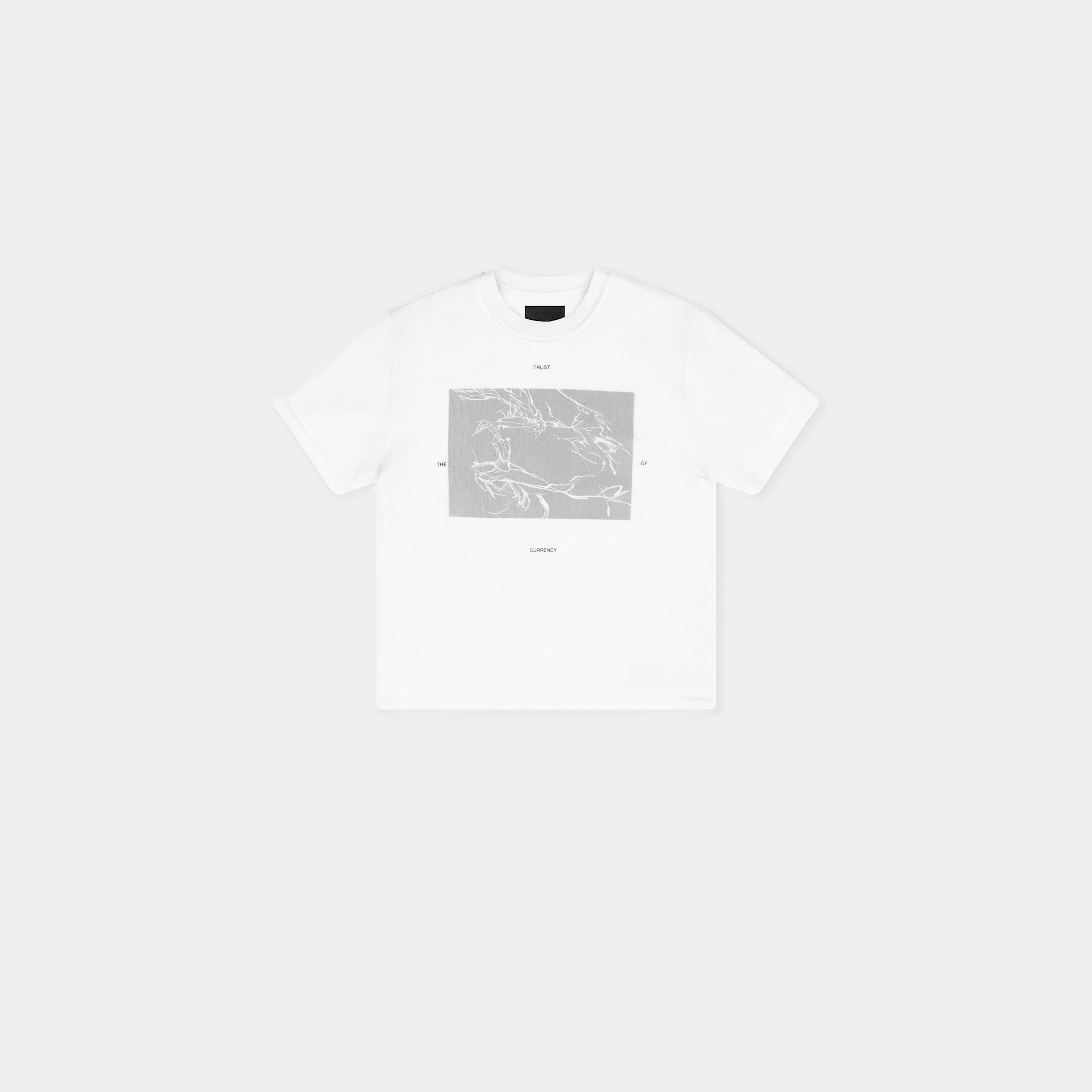 HE, product: PELLUCID T-SHIRT (Fig. 1)