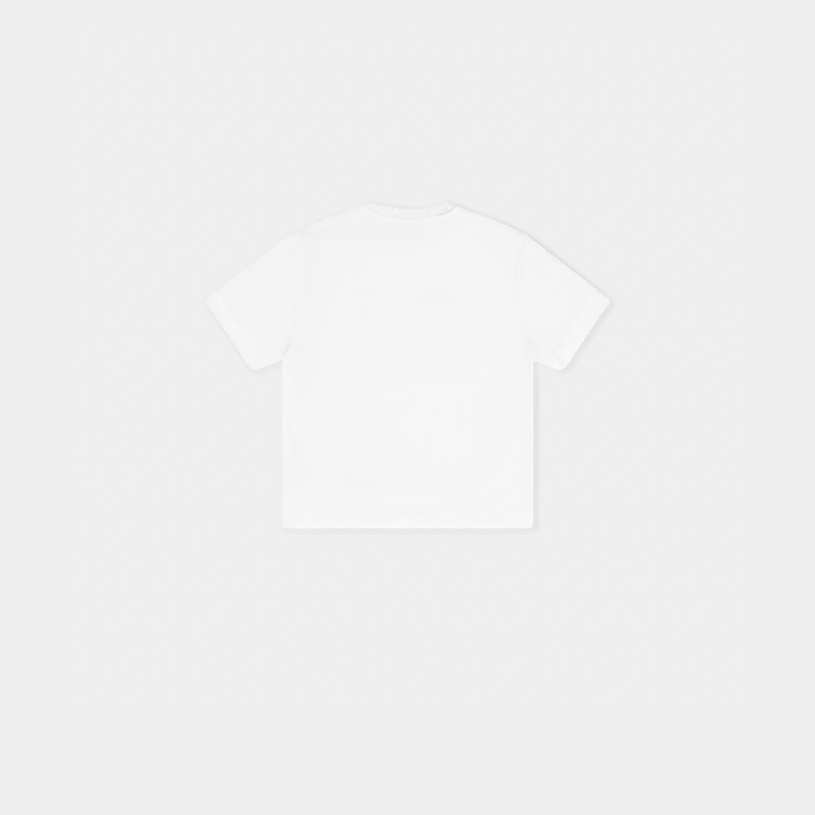 HE, product: PELLUCID T-SHIRT (Fig. 8)