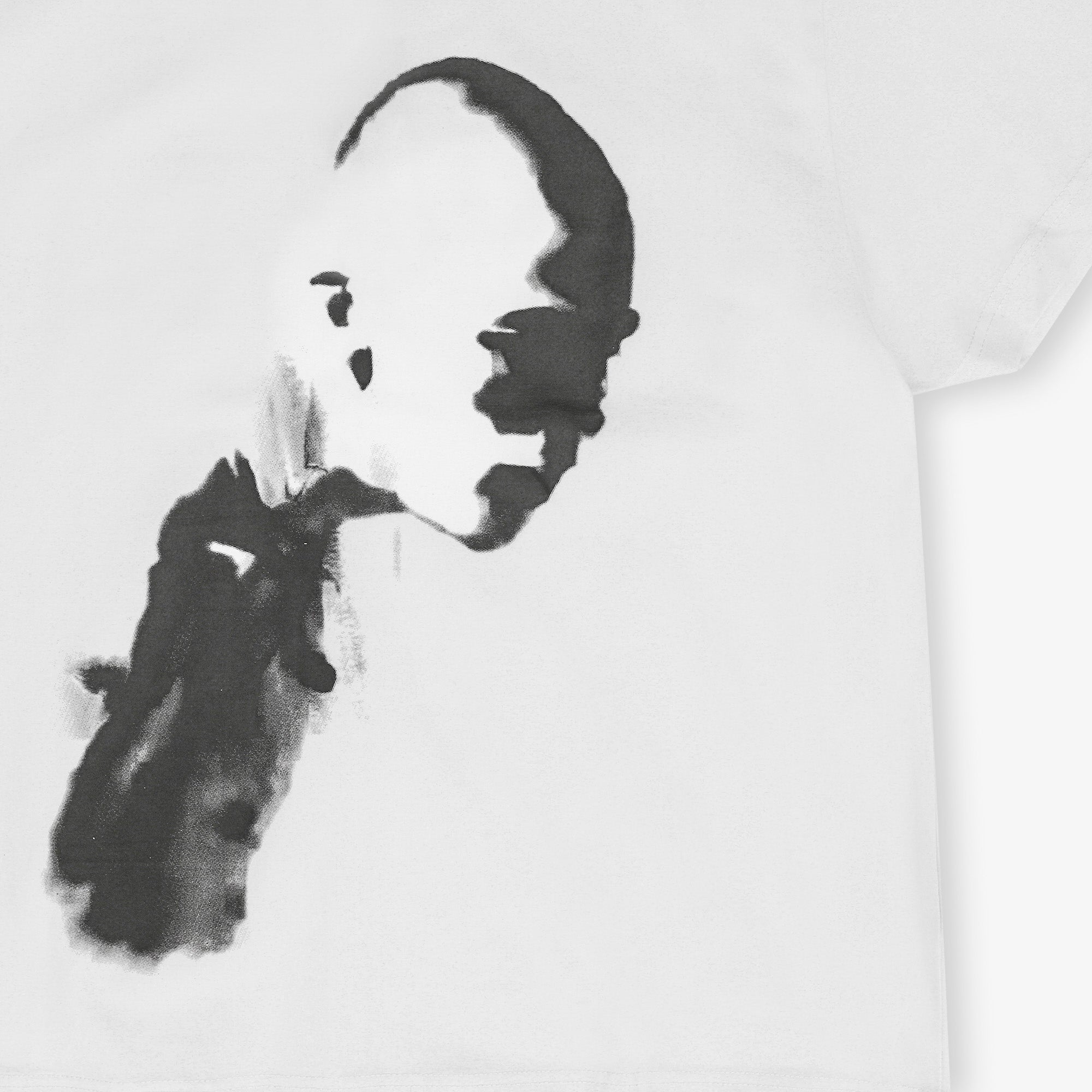 HE, product: AI GENERATED PRINT T-SHIRT (Fig. 10)