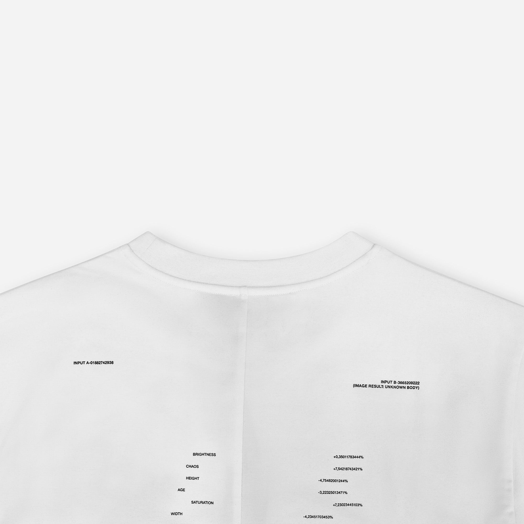 HE, product: AI GENERATED PRINT T-SHIRT (Fig. 9)