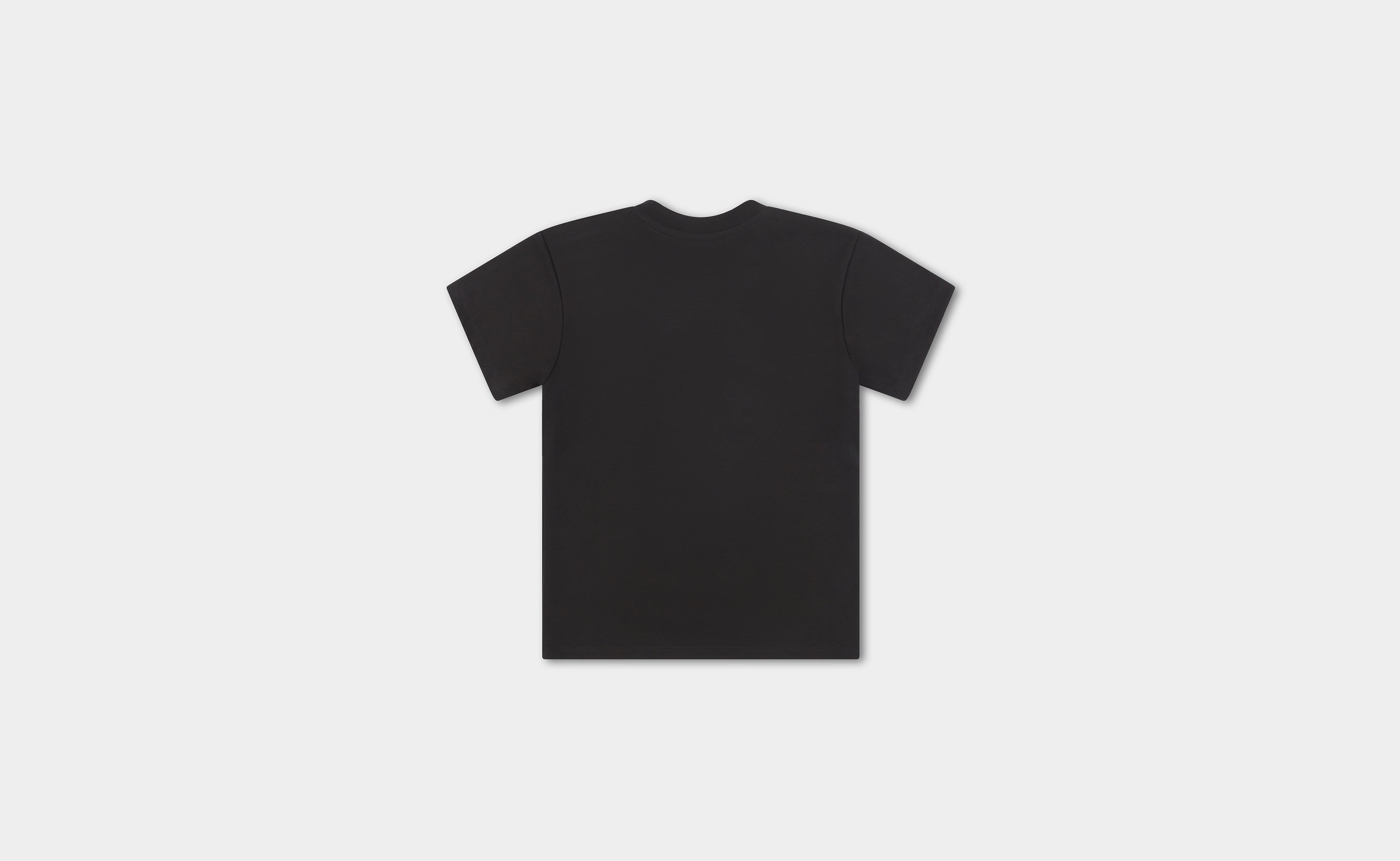 HE, product: ASTRAPE FITTED T-SHIRT (Fig. 7)