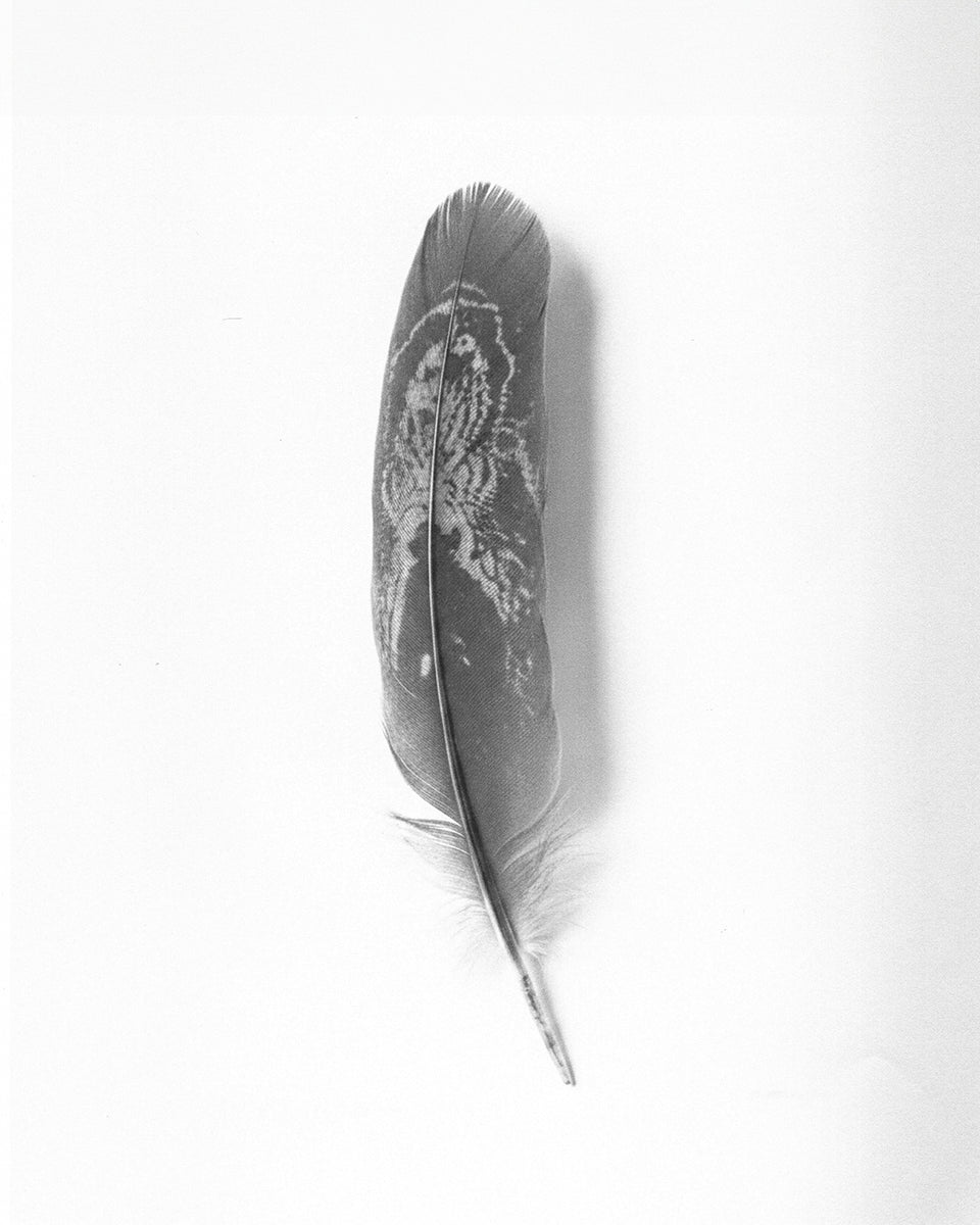 HELIOT EMIL_