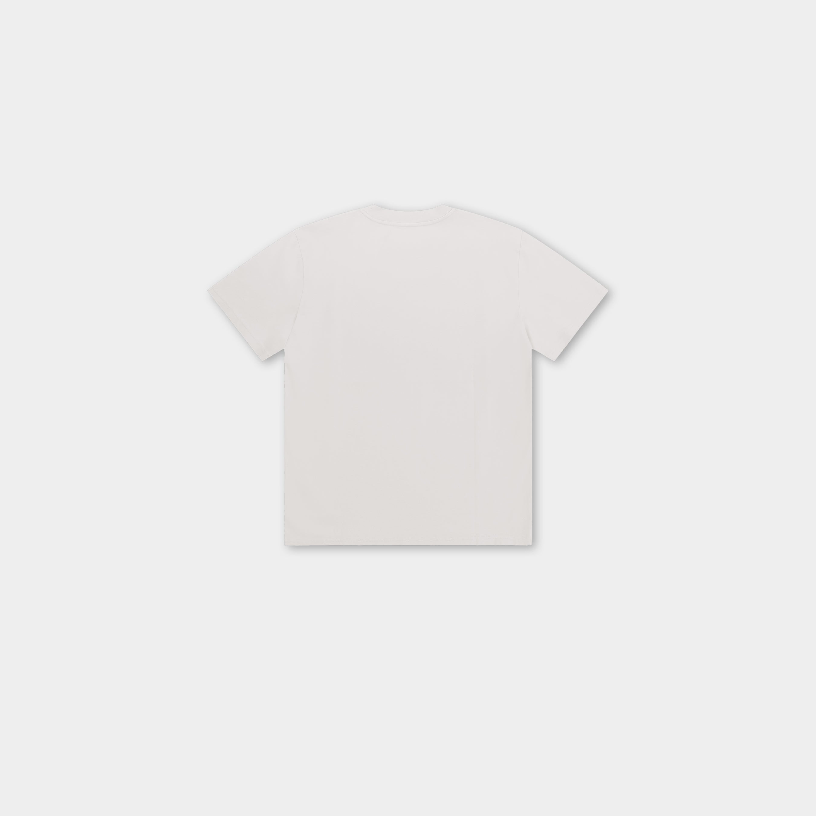 HE, product: ASTRAPE T-SHIRT (Fig. 8)