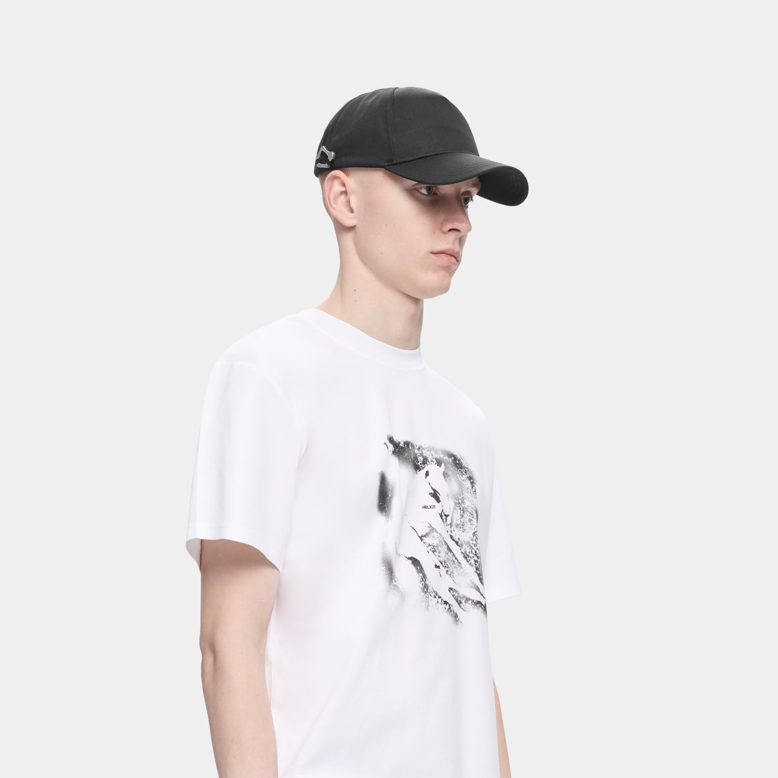 HE, product: KERYX CAP (Fig. 5)