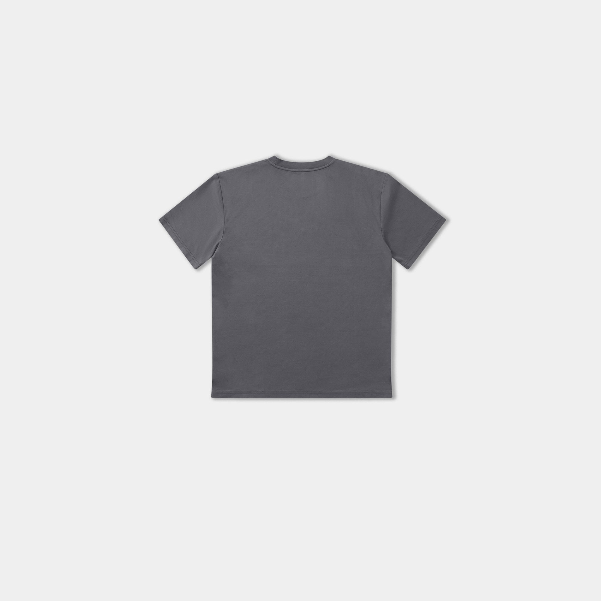 HE, product: ASTRAPE T-SHIRT WASHED DARK GREY (Fig. 10)