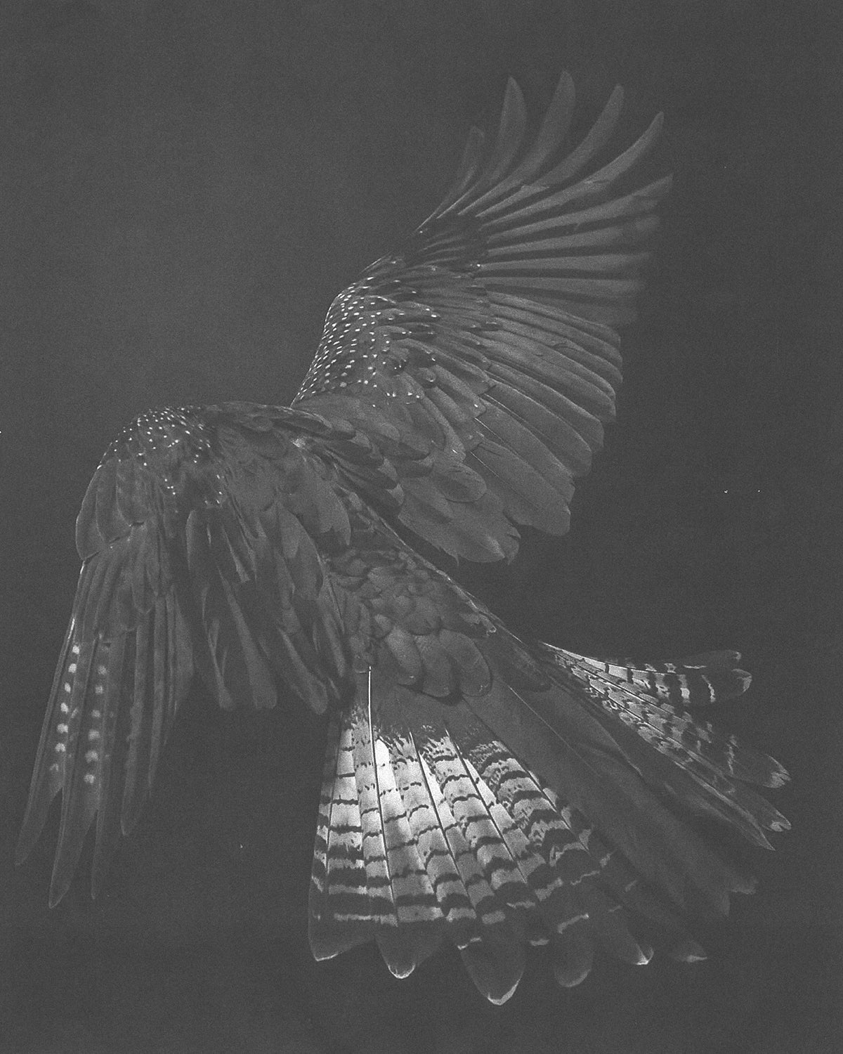 HELIOT EMIL_