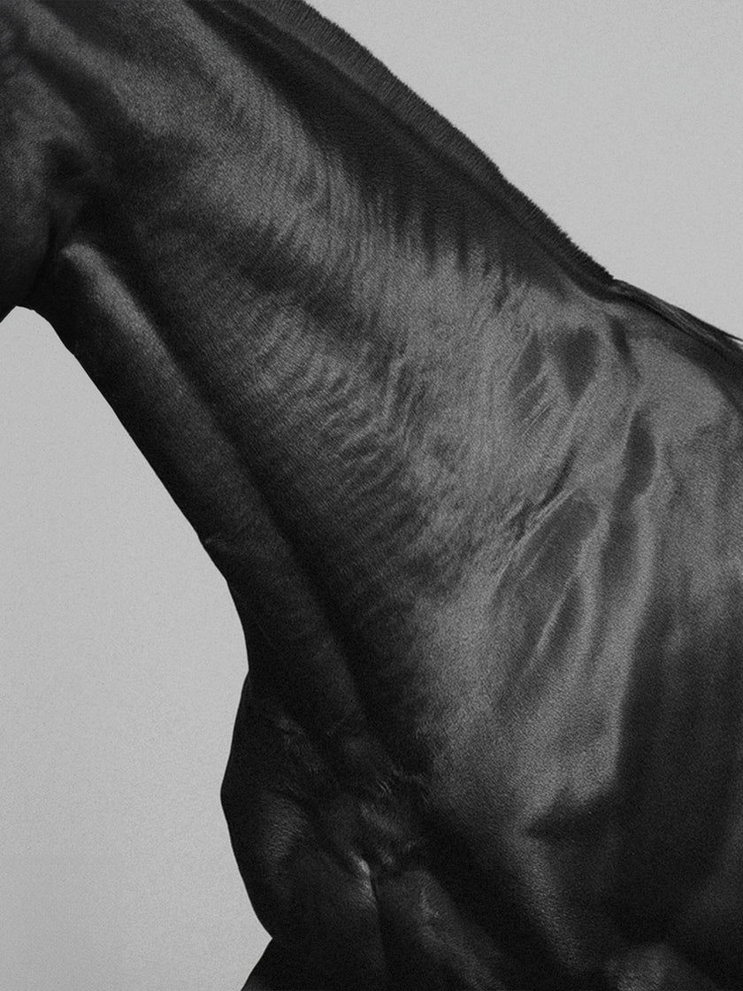 HE, index: SS26 PRE 'EQUINE' (mobile)