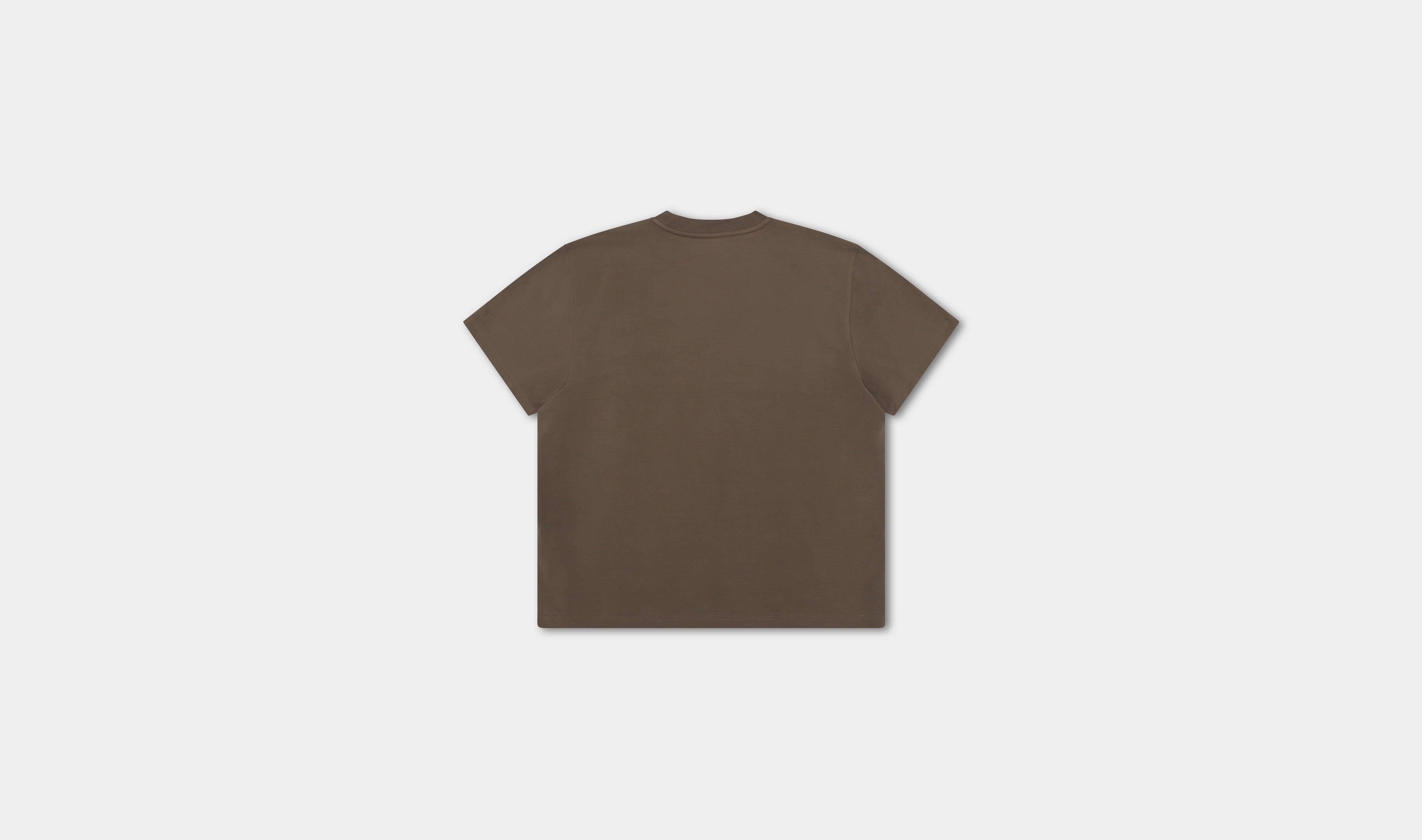 HE, product: ASTRAPE T-SHIRT (Fig. 2)