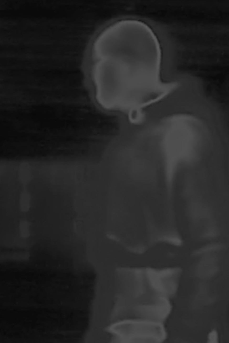 HELIOT EMIL_IMG_03.jpg