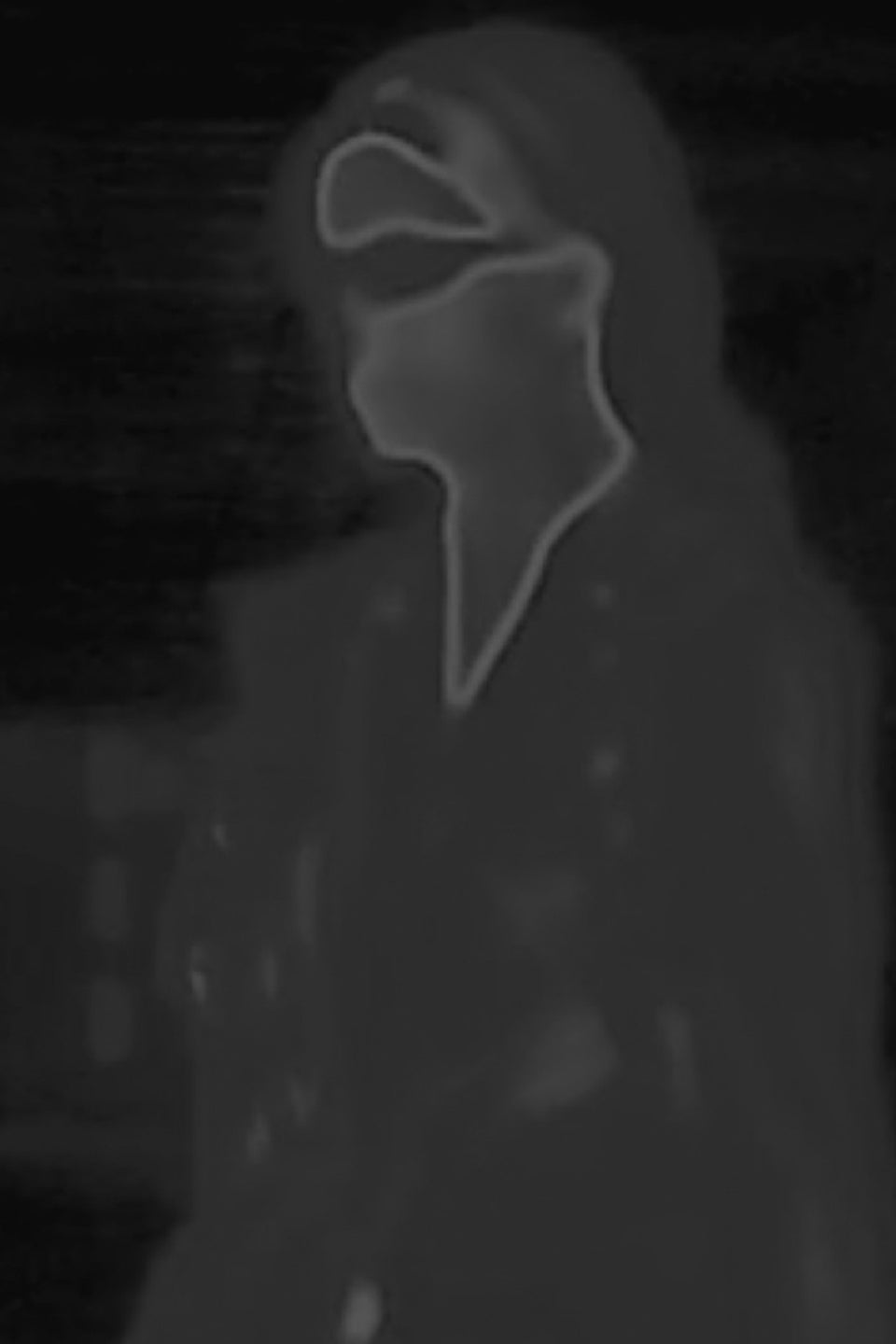 HELIOT EMIL_IMG_04.jpg