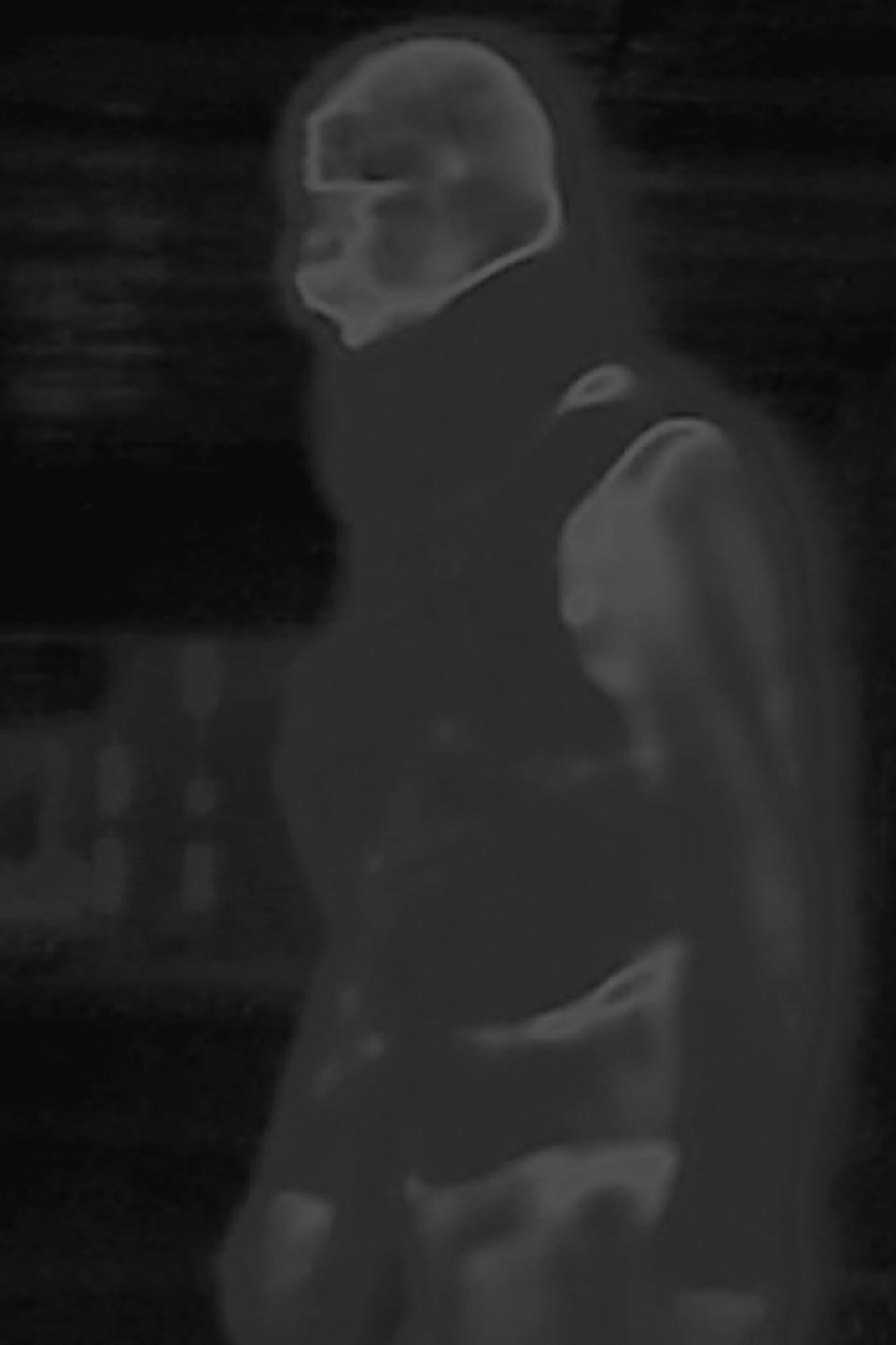 HELIOT EMIL_IMG_01.jpg