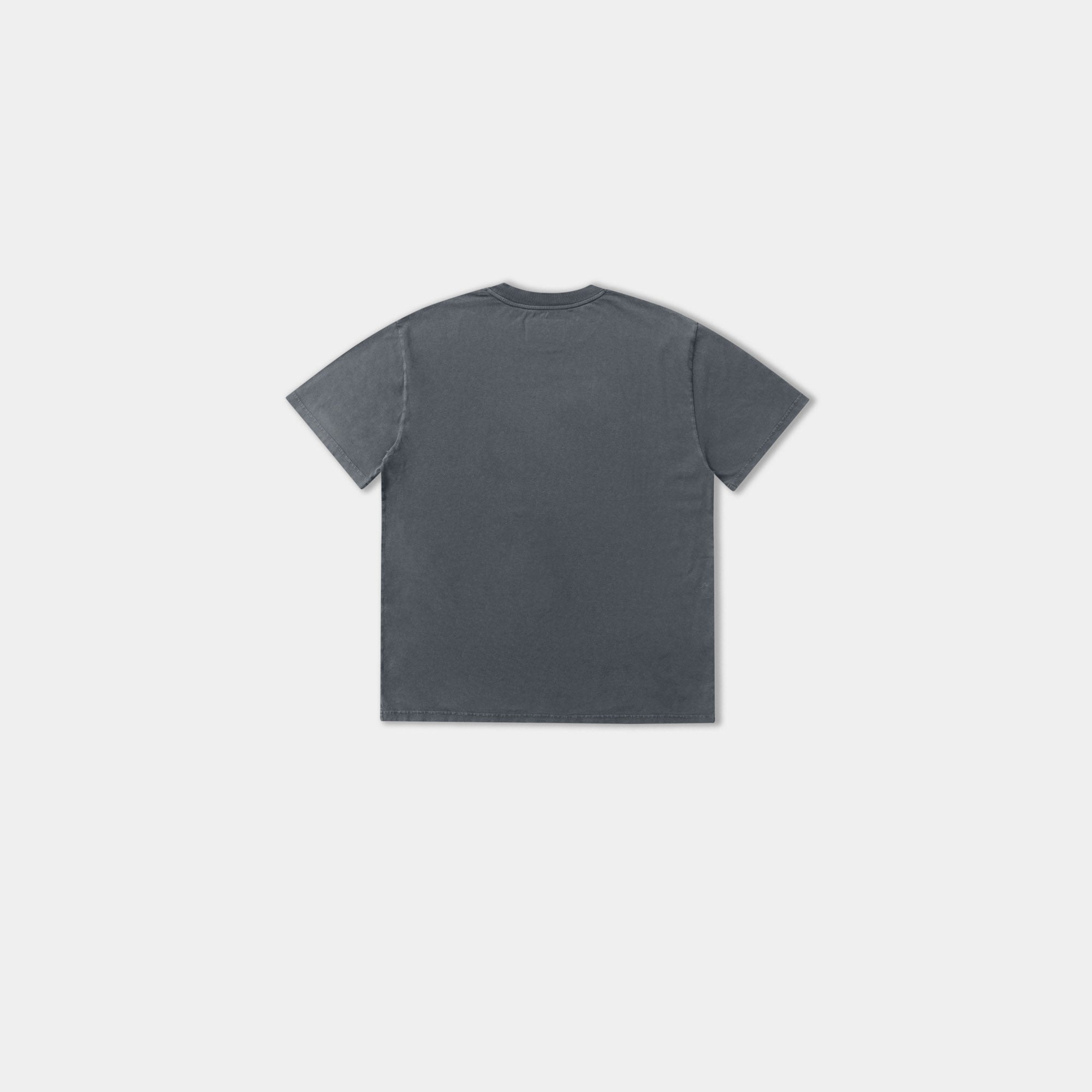 HE, product: TACITO T-SHIRT WASHED BLACK (Fig. 9)