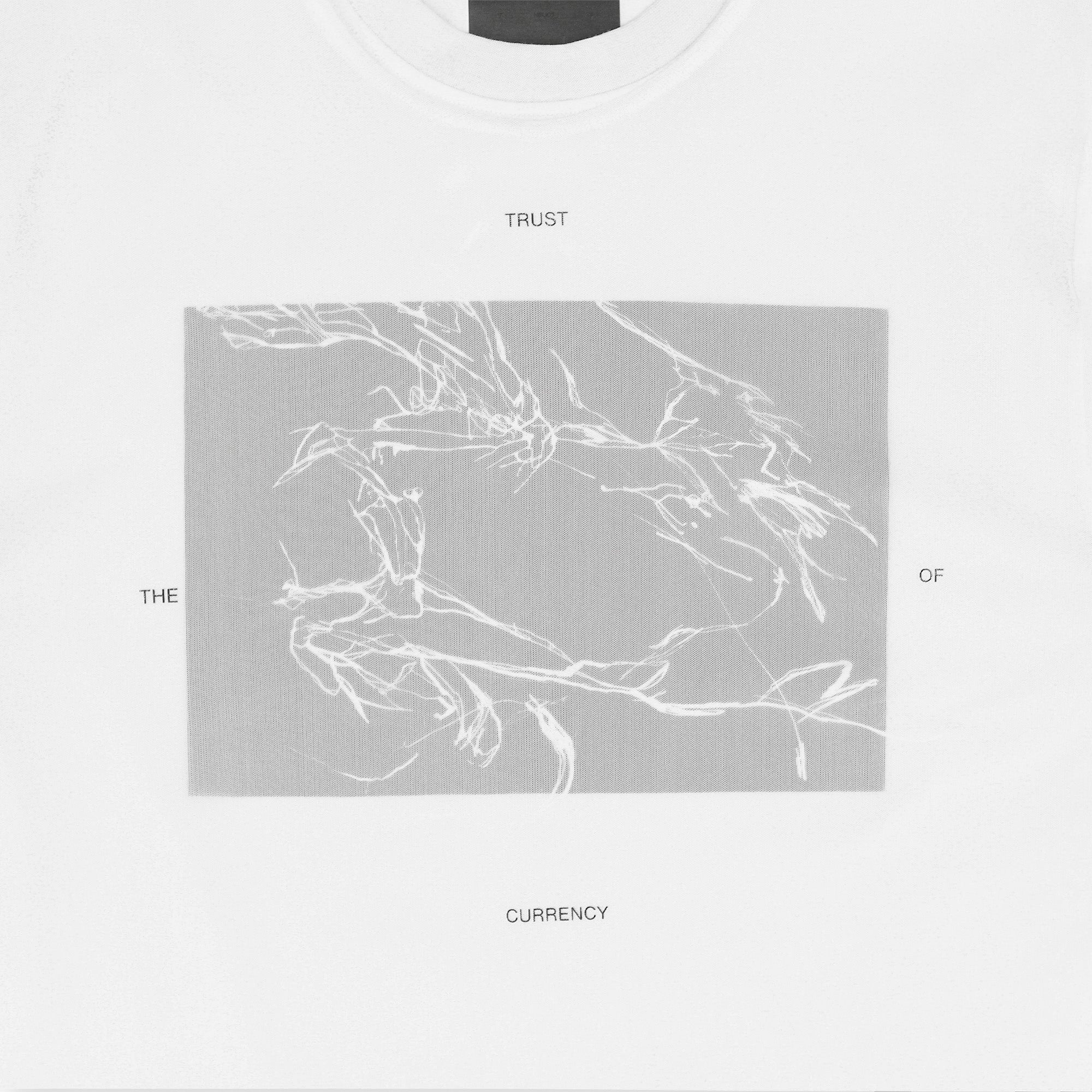 HE, product: PELLUCID T-SHIRT (Fig. 12)
