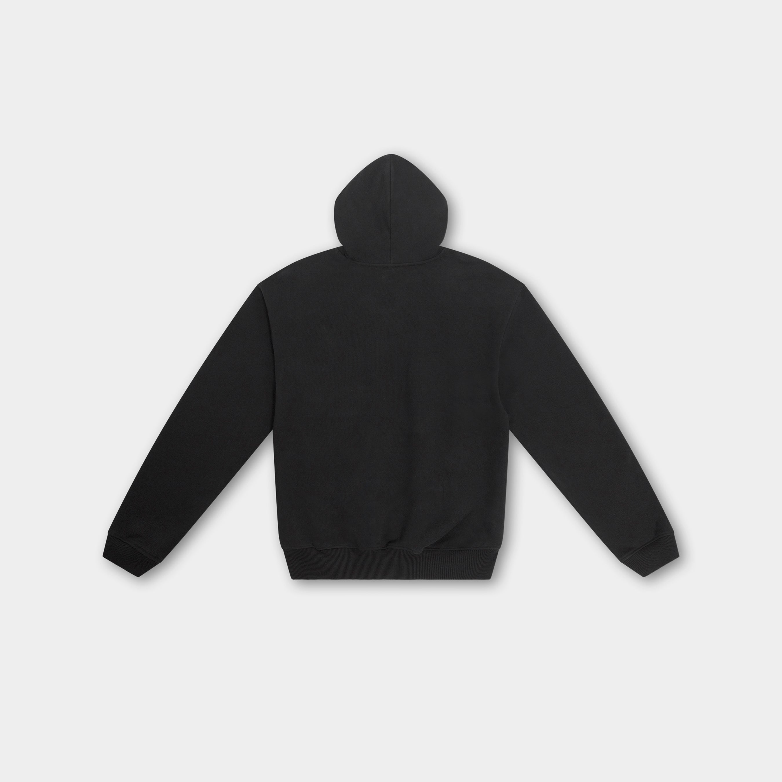 HE, product: ASTRAPE HOODIE (Fig. 12)