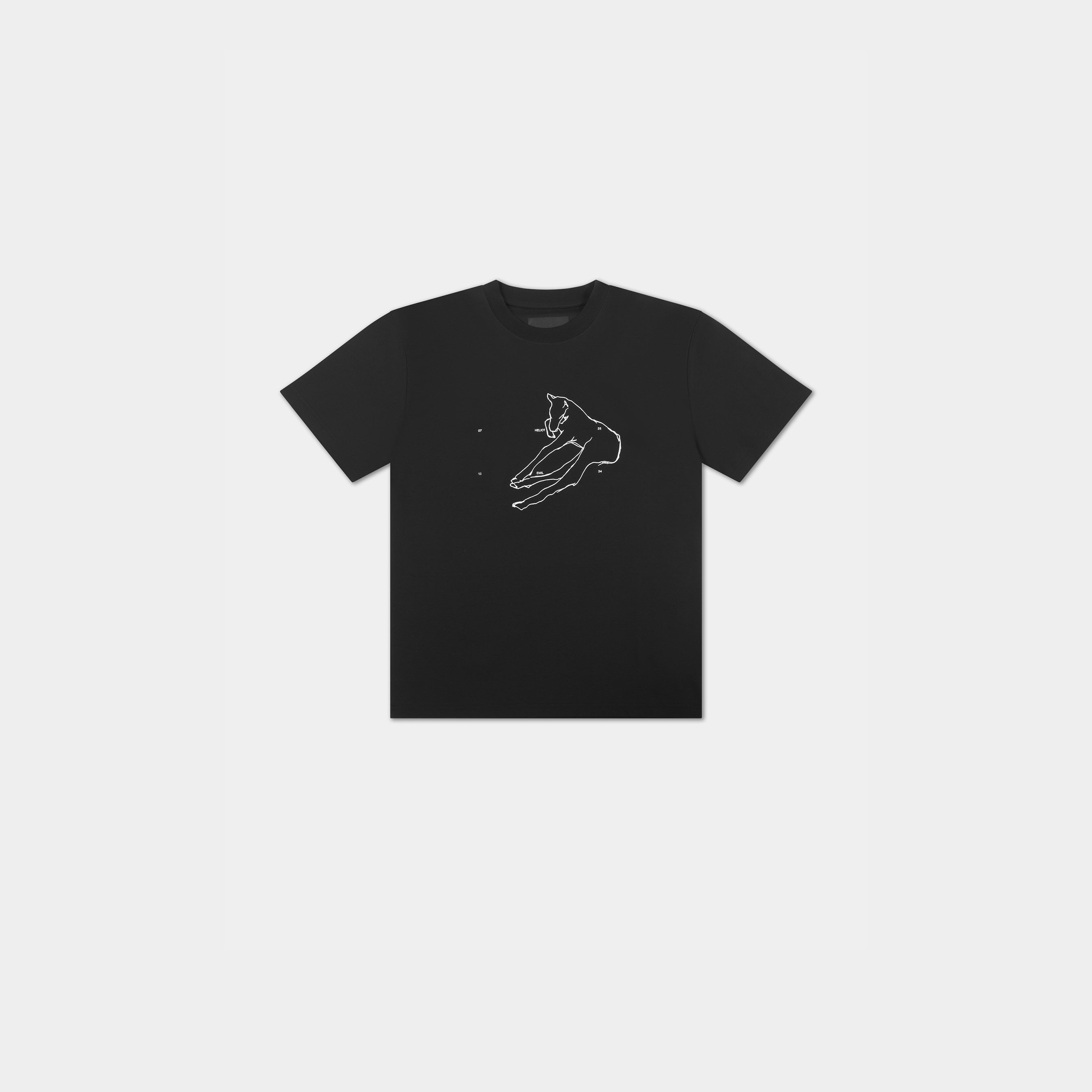 HE, product: COLT TSHIRT (Fig. 1)