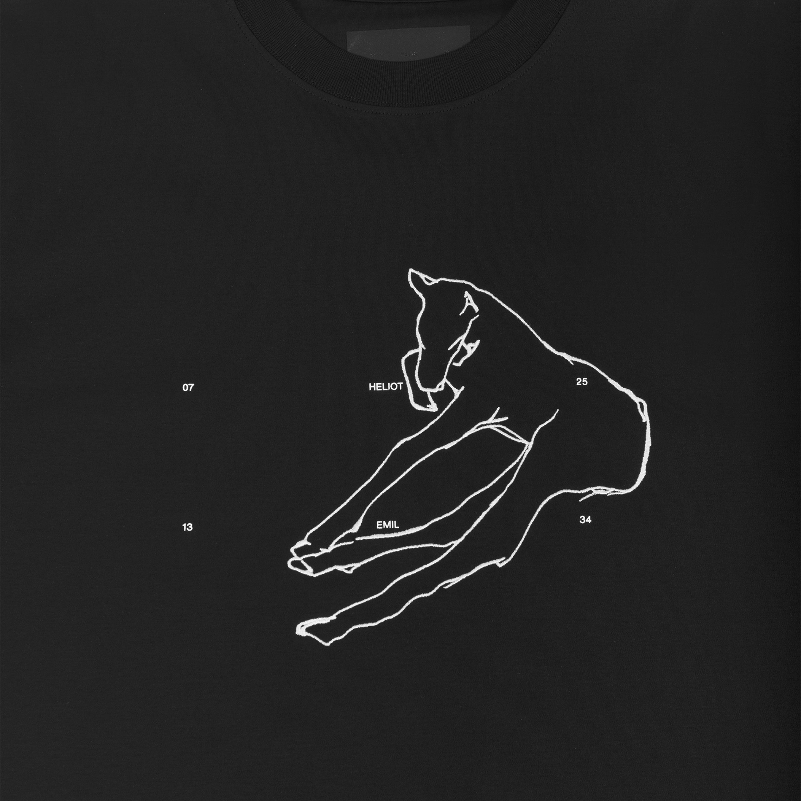 HE, product: COLT TSHIRT (Fig. 3)