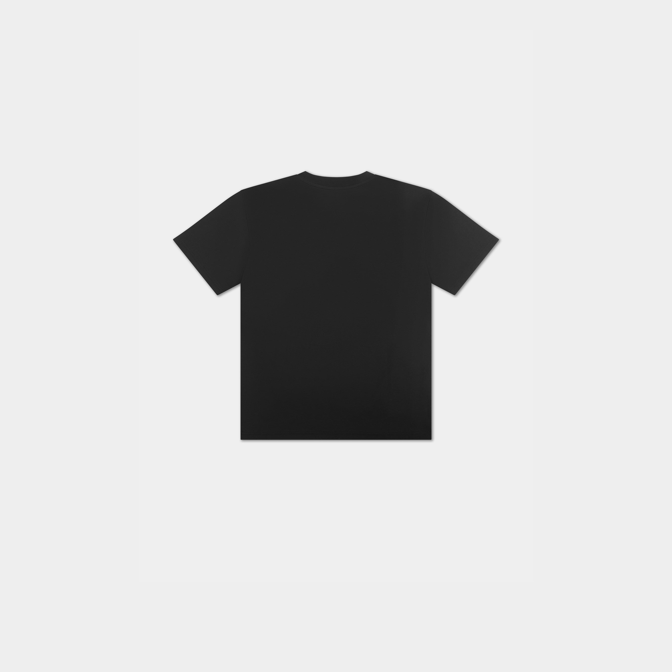 HE, product: COLT TSHIRT (Fig. 5)