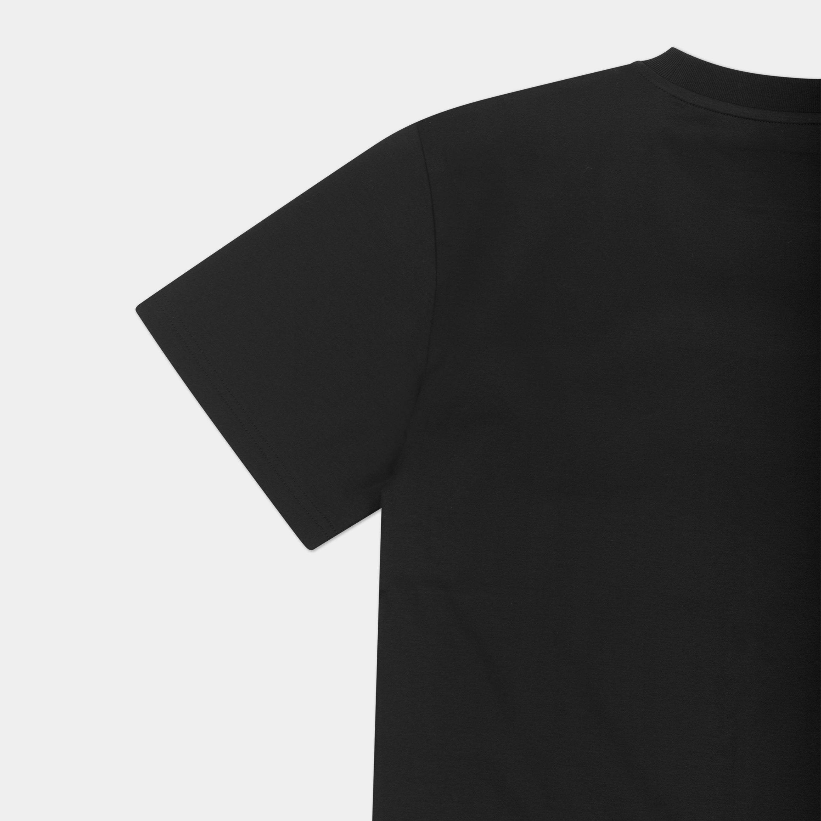 HE, product: COLT TSHIRT (Fig. 2)