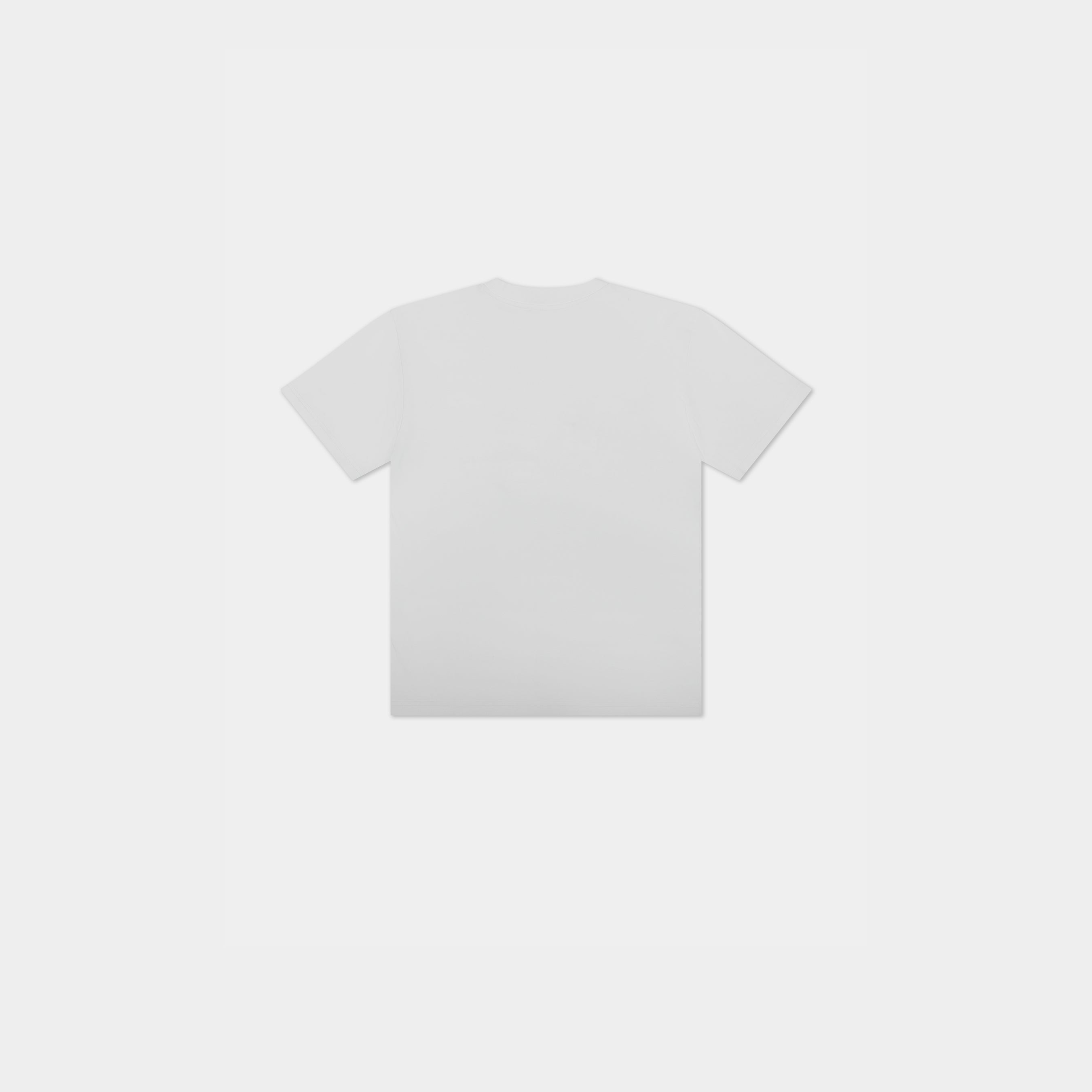 HE, product: COLT TSHIRT (Fig. 5)