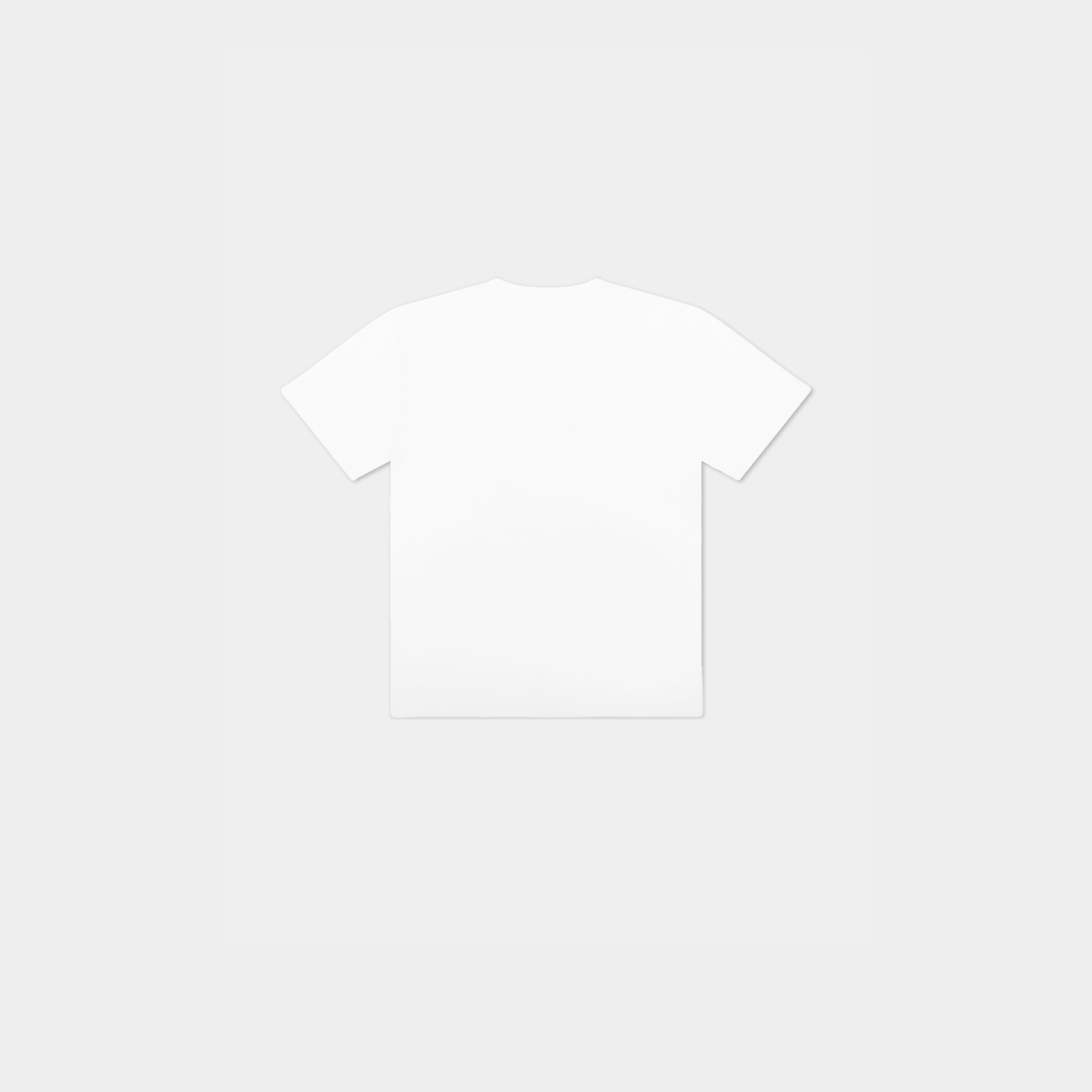 HE, product: COLT TSHIRT (Fig. 10)