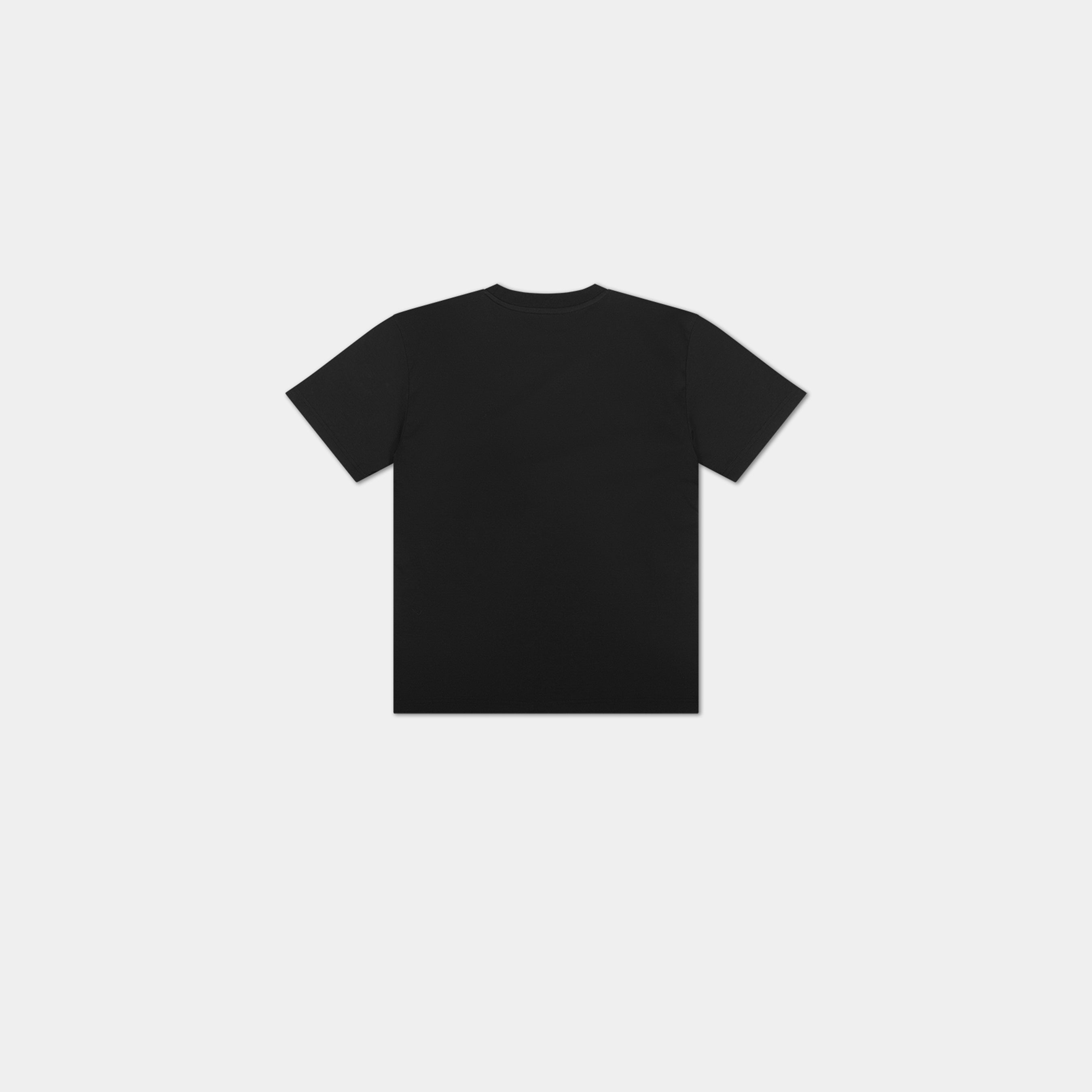 HE, product: FOAL TSHIRT (Fig. 2)