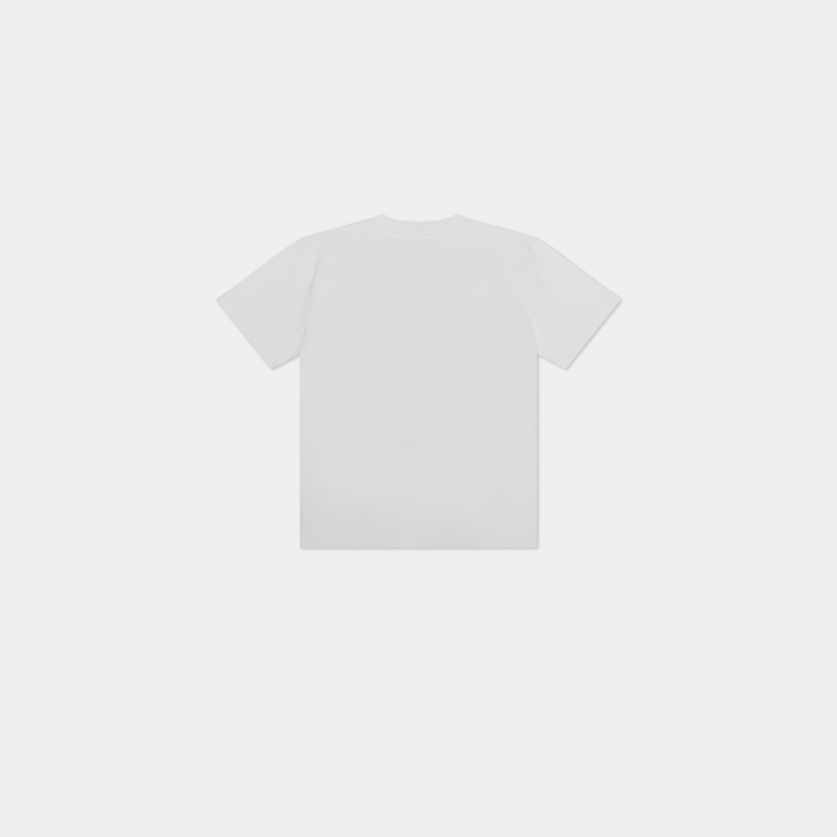 HE, product: FOAL TSHIRT (Fig. 5)
