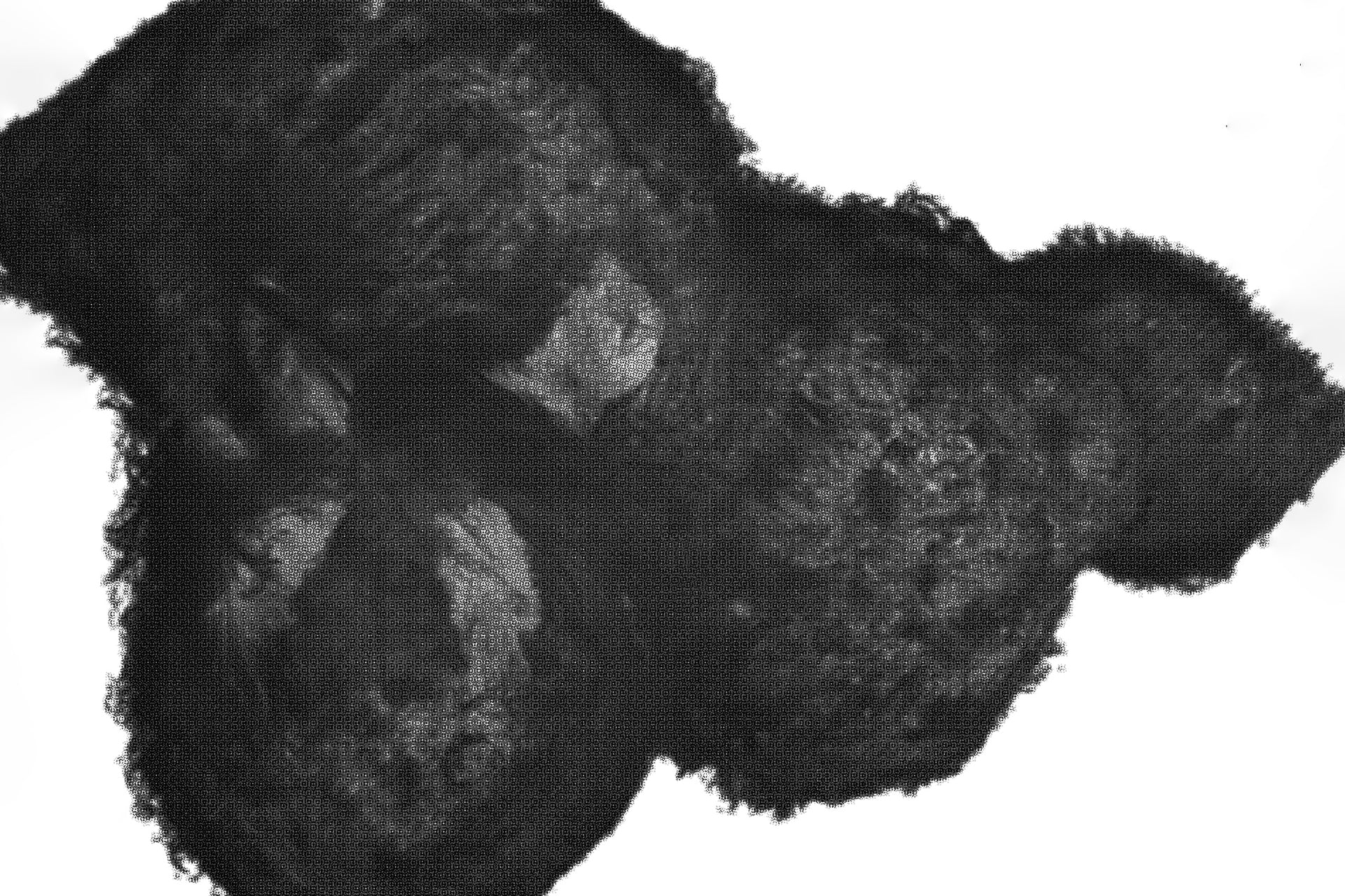 HELIOT EMIL__dekstop