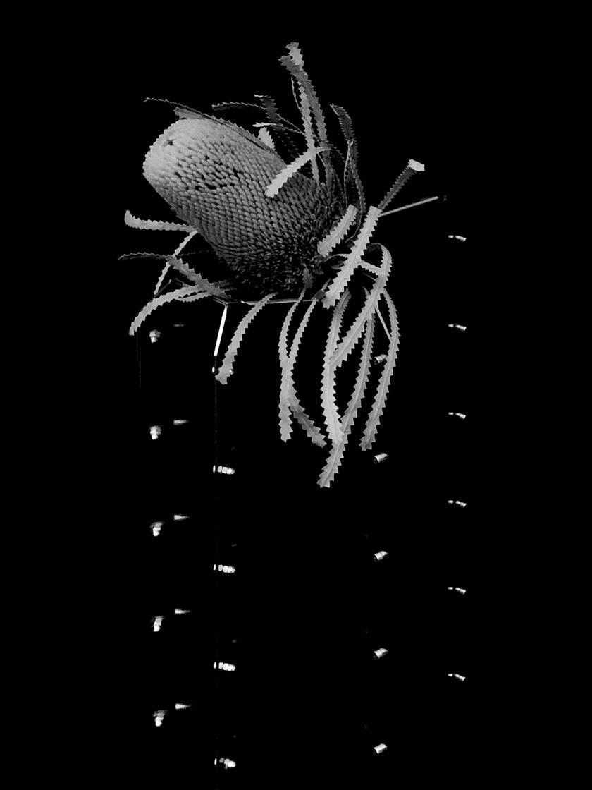 HE, product: VASE (Fig. 3)