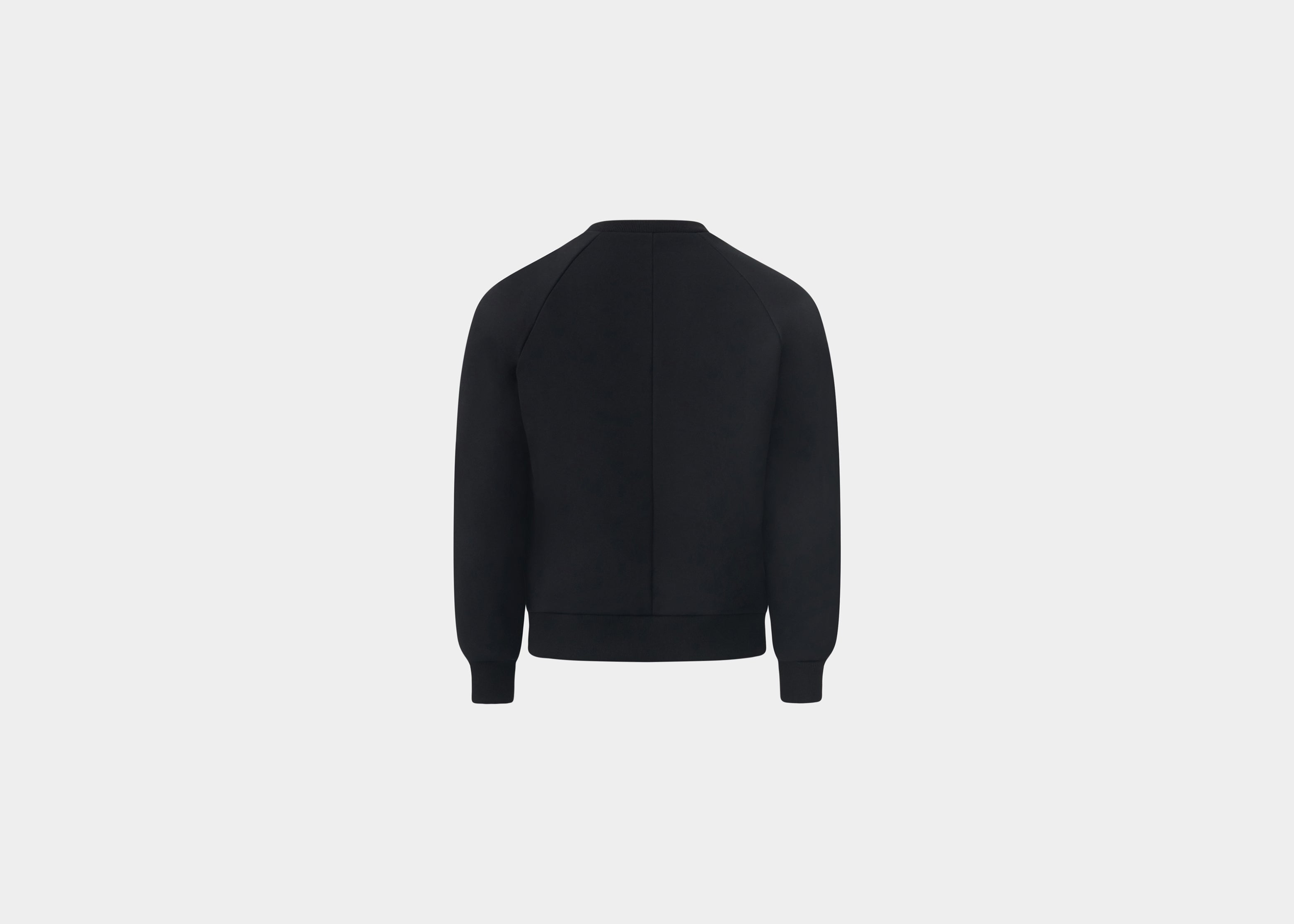 HE, product: Print Crewneck (Fig. 5)