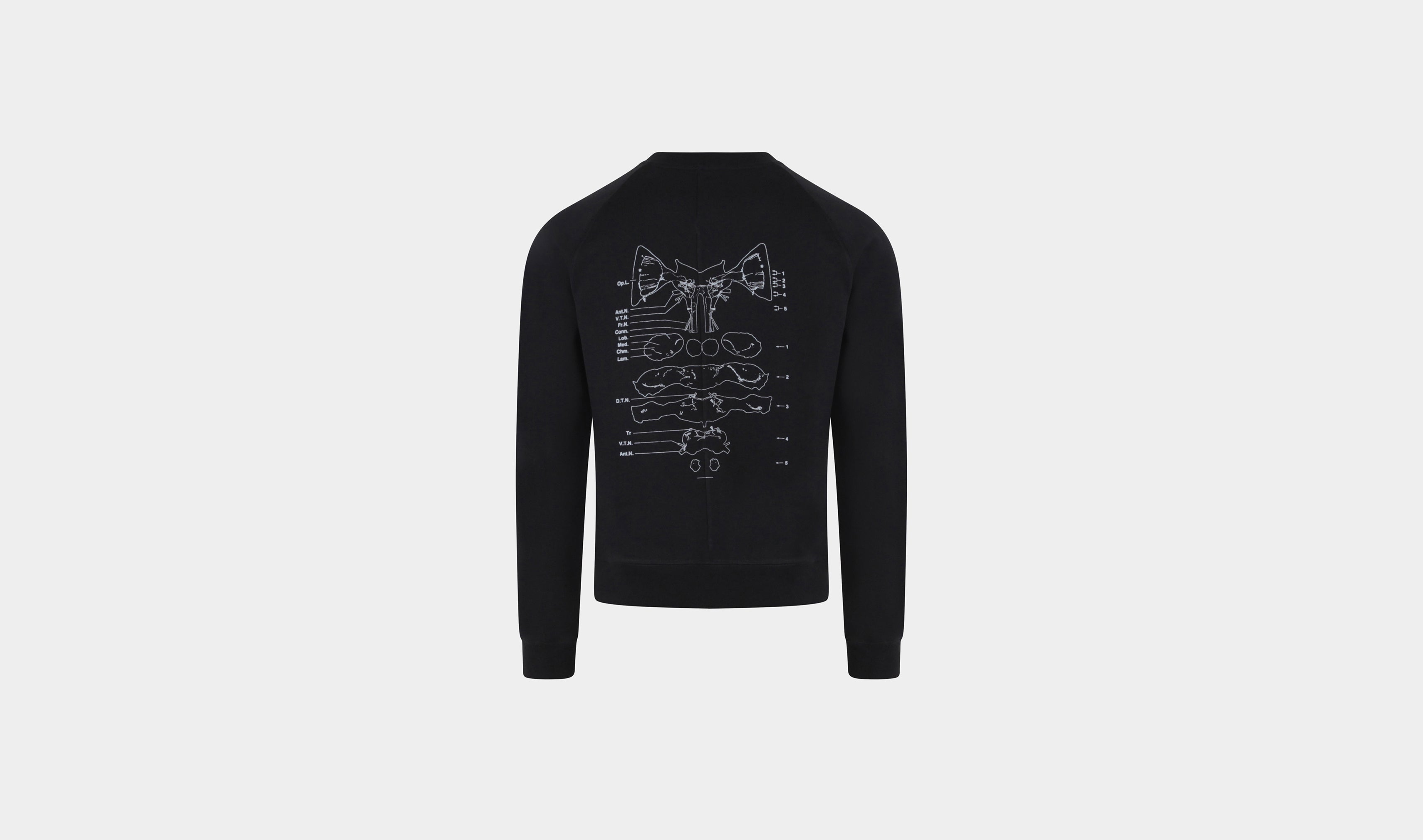 HE, product: METAMORPHOSIS PRINT CREWNECK (Fig. 5)