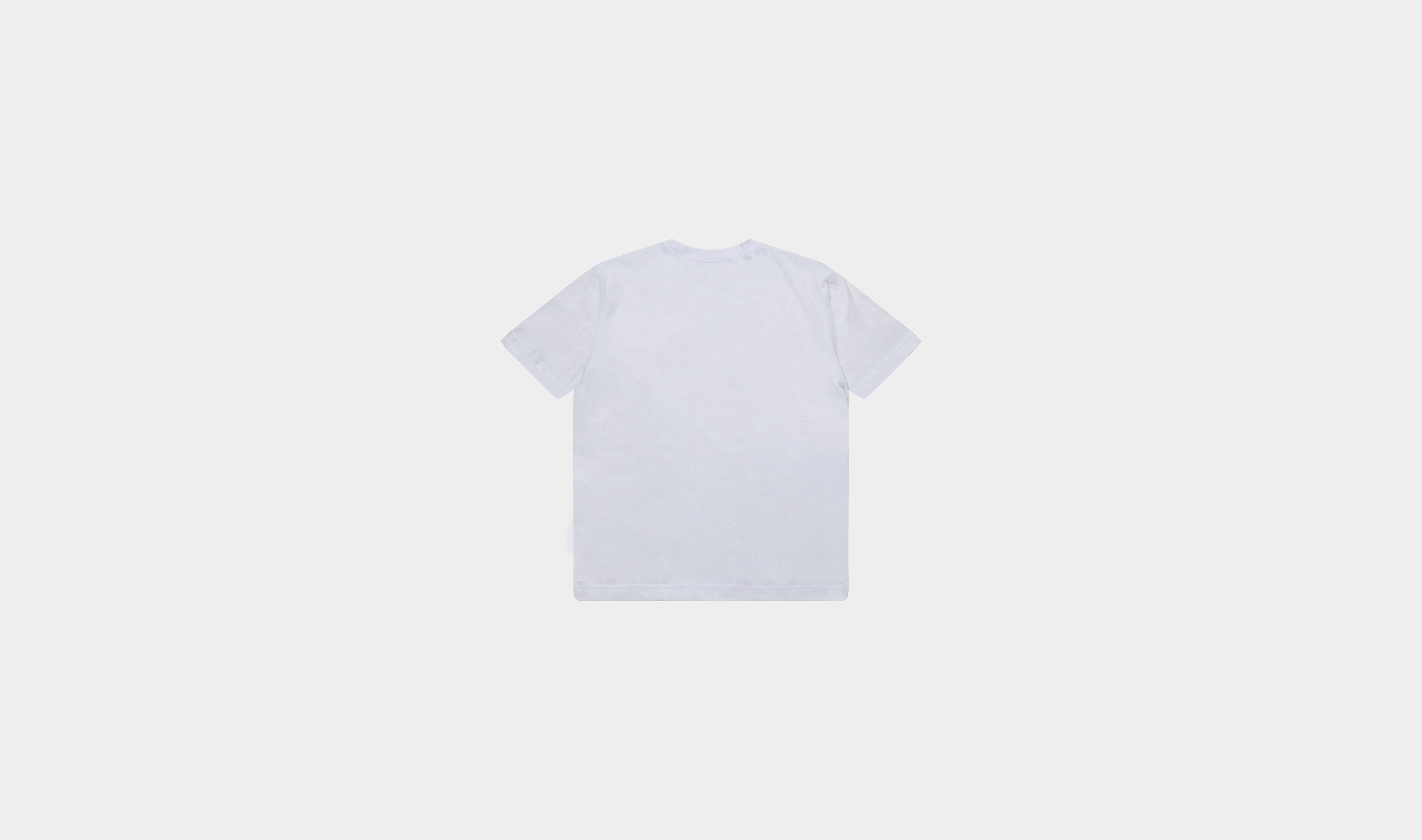 HE, product: T-SHIRT W. ZIP (Fig. 2)